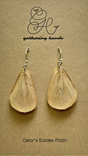 Load image into Gallery viewer, Oslar&#39;s Eacles Moth Hindwing Earrings
