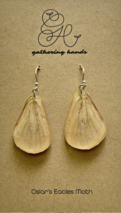 Oslar's Eacles Moth Hindwing Earrings