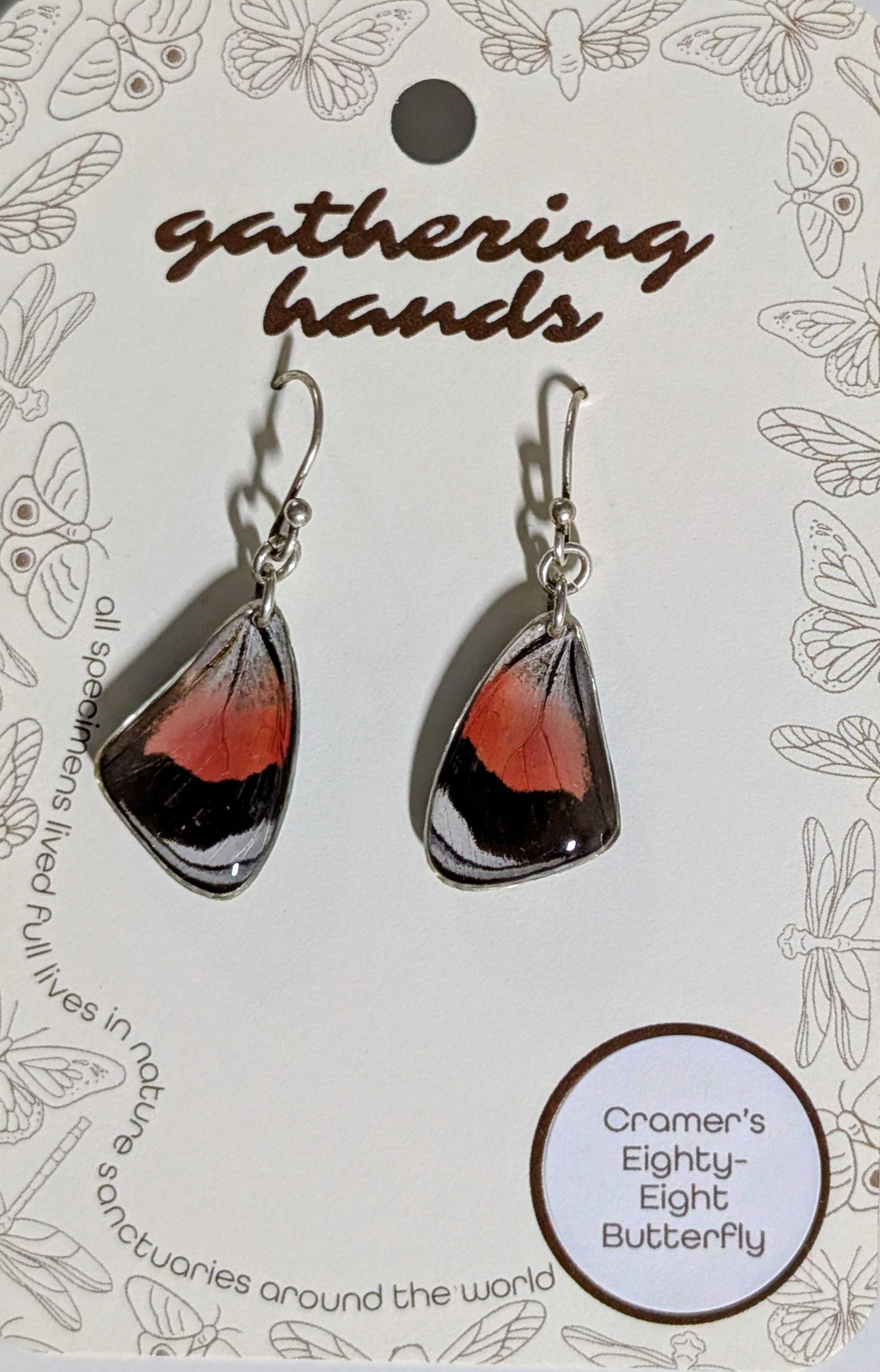 Cramer's Eighty-Eight Forewing Earrings