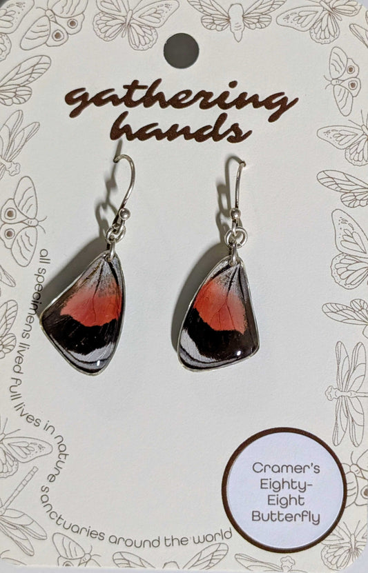 Cramer's Eighty-Eight Forewing Earrings