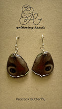 Load image into Gallery viewer, Peacock Butterfly Hindwing Earrings
