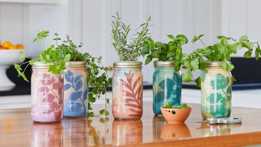 Herb Garden Jar