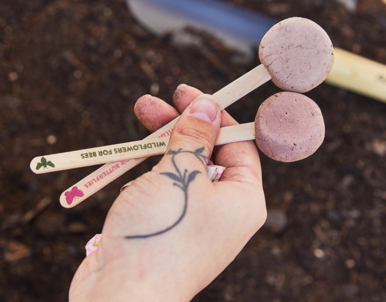 Pollinator Seed Pops