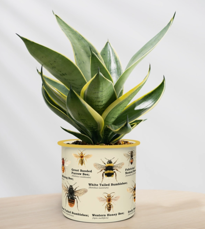 Bee Planter