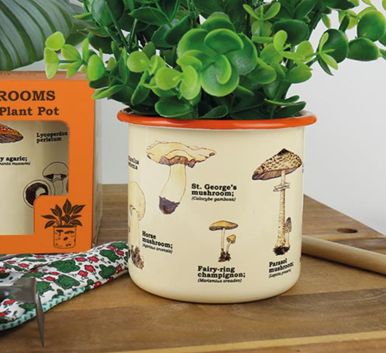 Mushroom Planter