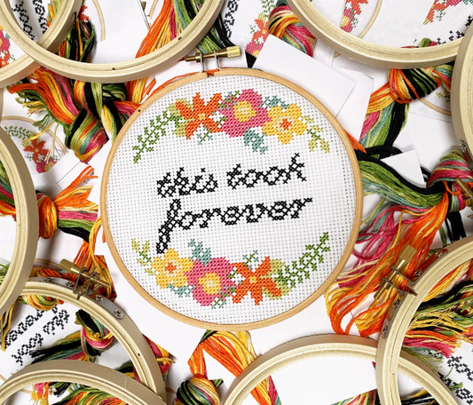 This Took Forever Cross Stitch Kit
