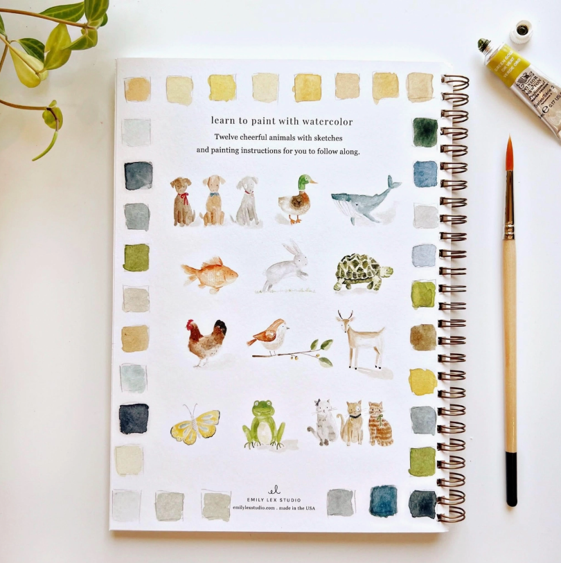 Animals Watercolor Painting Workbook