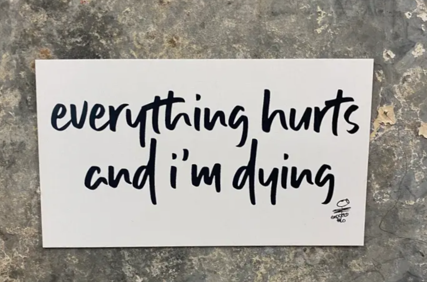 Everything Hursts Magnet