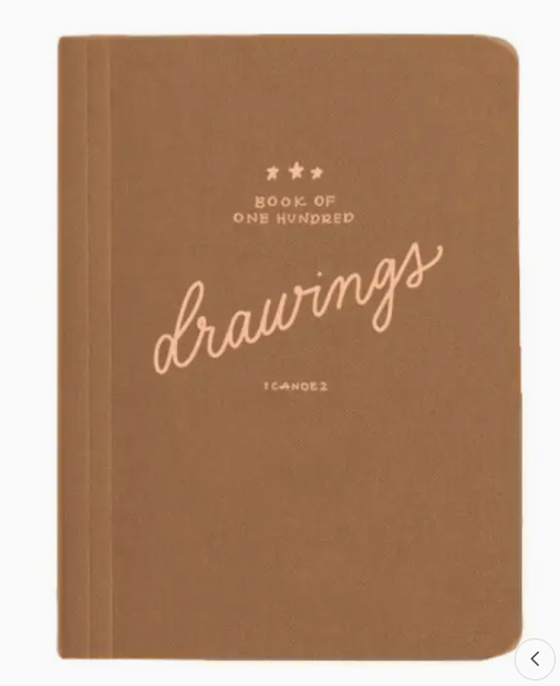 100 Drawings Pocket Journal