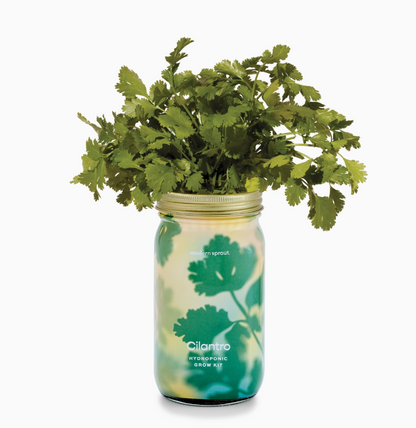 Herb Garden Jar