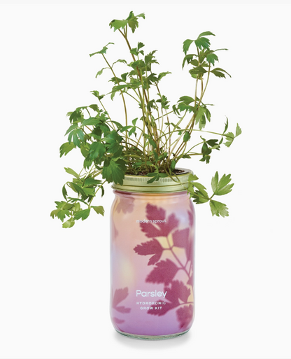 Herb Garden Jar