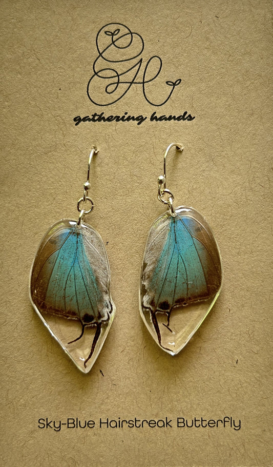 Sky-Blue Hairstreak Hindwing Earrings