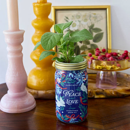 Holiday Herb Garden Jar: Sage