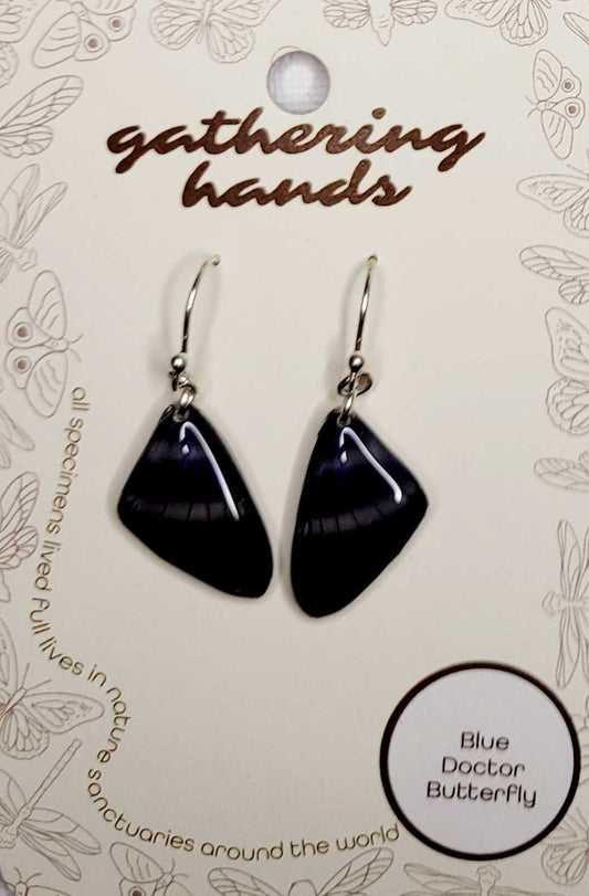 Blue Doctor Forewing Earrings