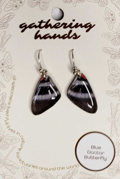 Blue Doctor Forewing Earrings