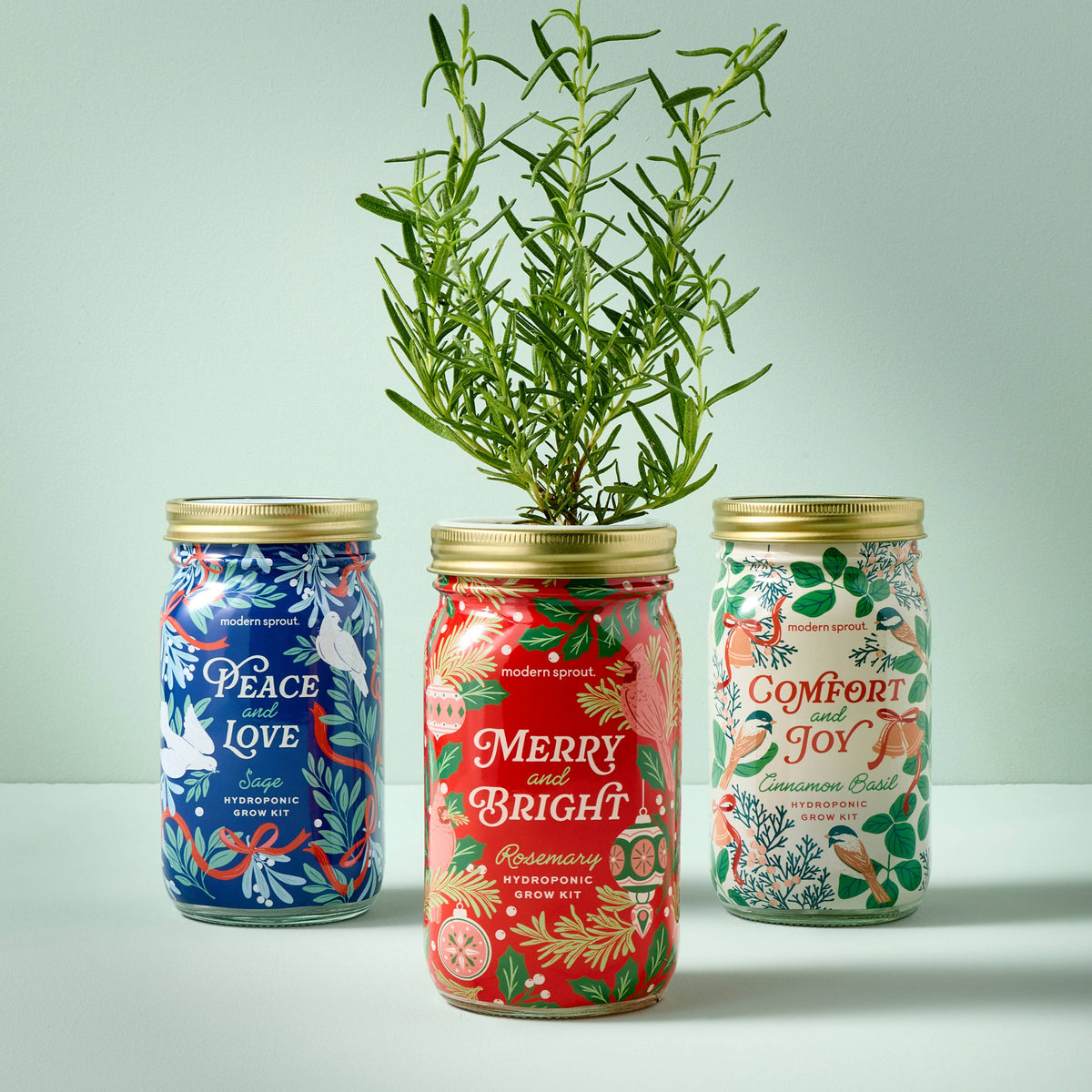 Holiday Herb Garden Jar: Rosemary