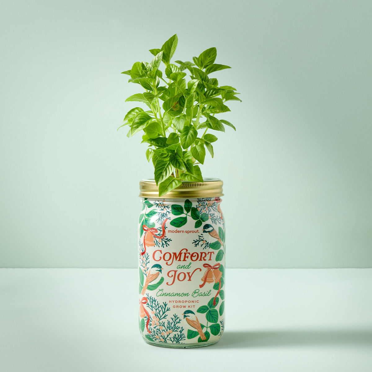 Holiday Herb Garden Jar: Cinnamon Basil