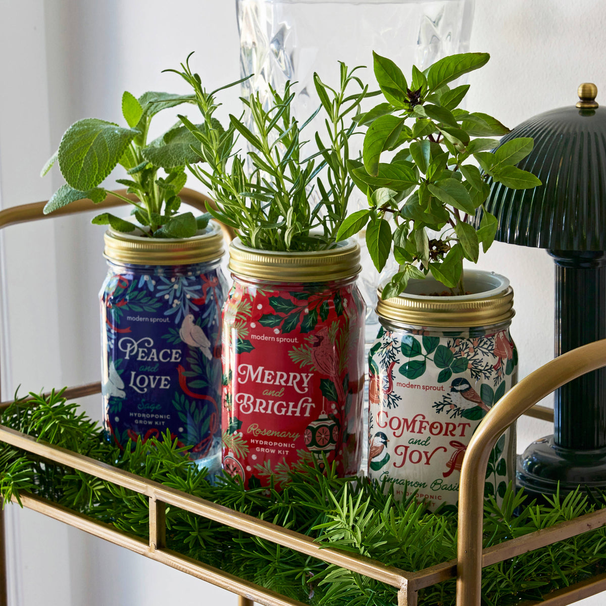 Holiday Herb Garden Jar: Sage