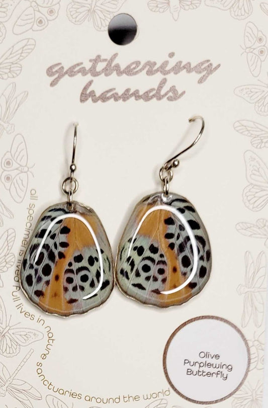 Olive Purplewing Hindwing Earrings