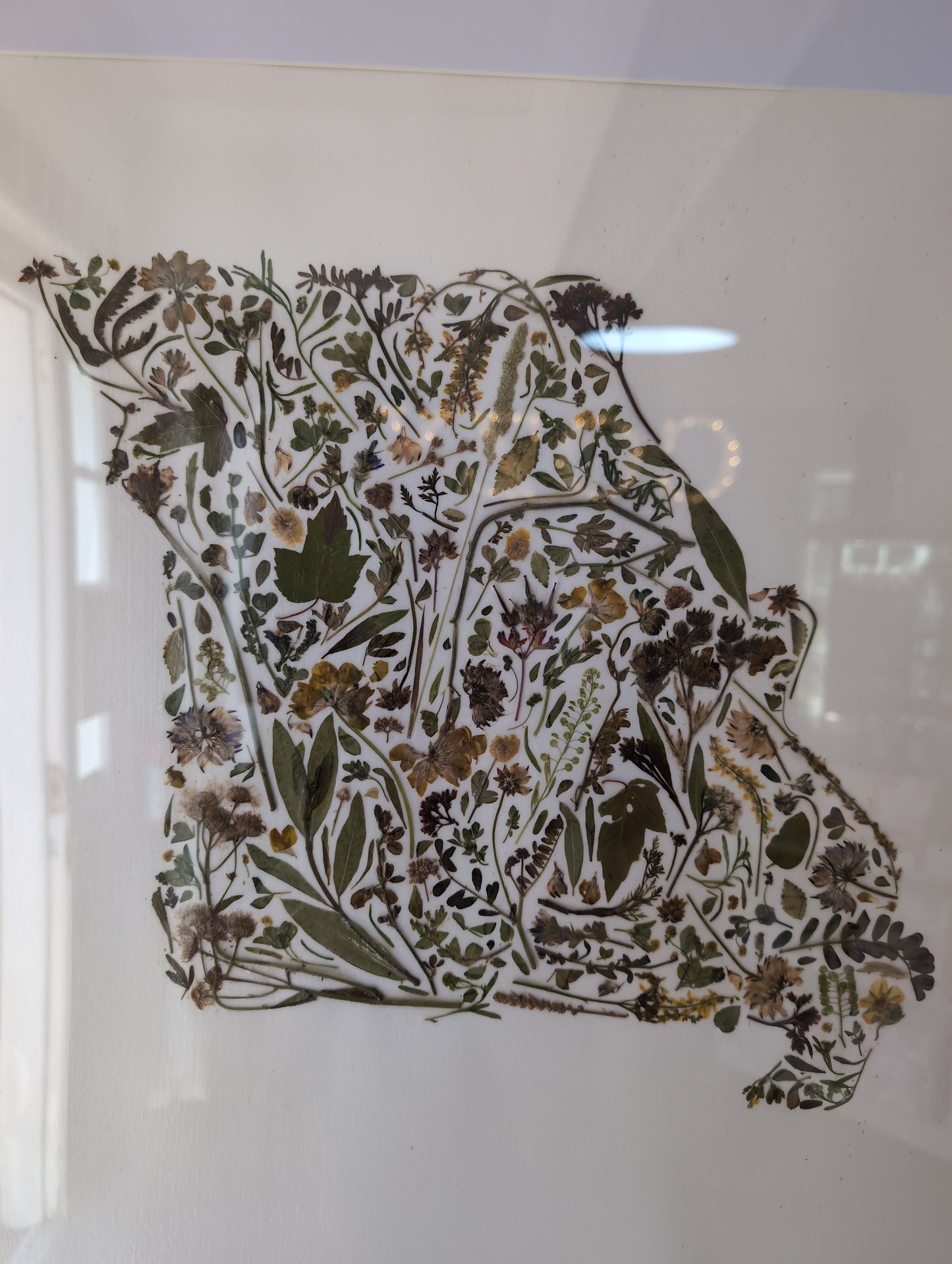 Missouri Floral Collage