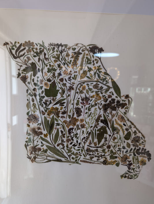 Missouri Floral Collage