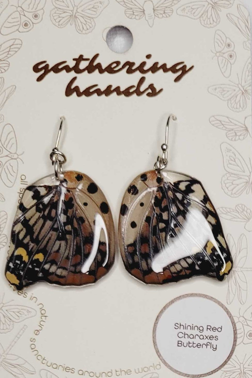 Shining Red Charaxes Hindwing Earrings