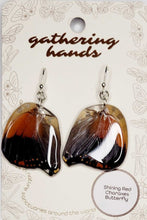 Load image into Gallery viewer, Shining Red Charaxes Hindwing Earrings
