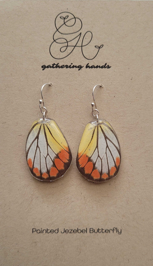 Painted Jezebel Hindwing Earrings