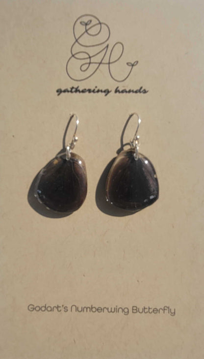 Godart's Numberwing Hindwing Earrings