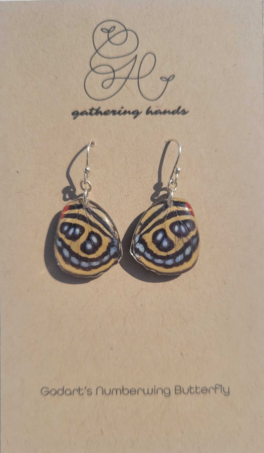 Godart's Numberwing Hindwing Earrings