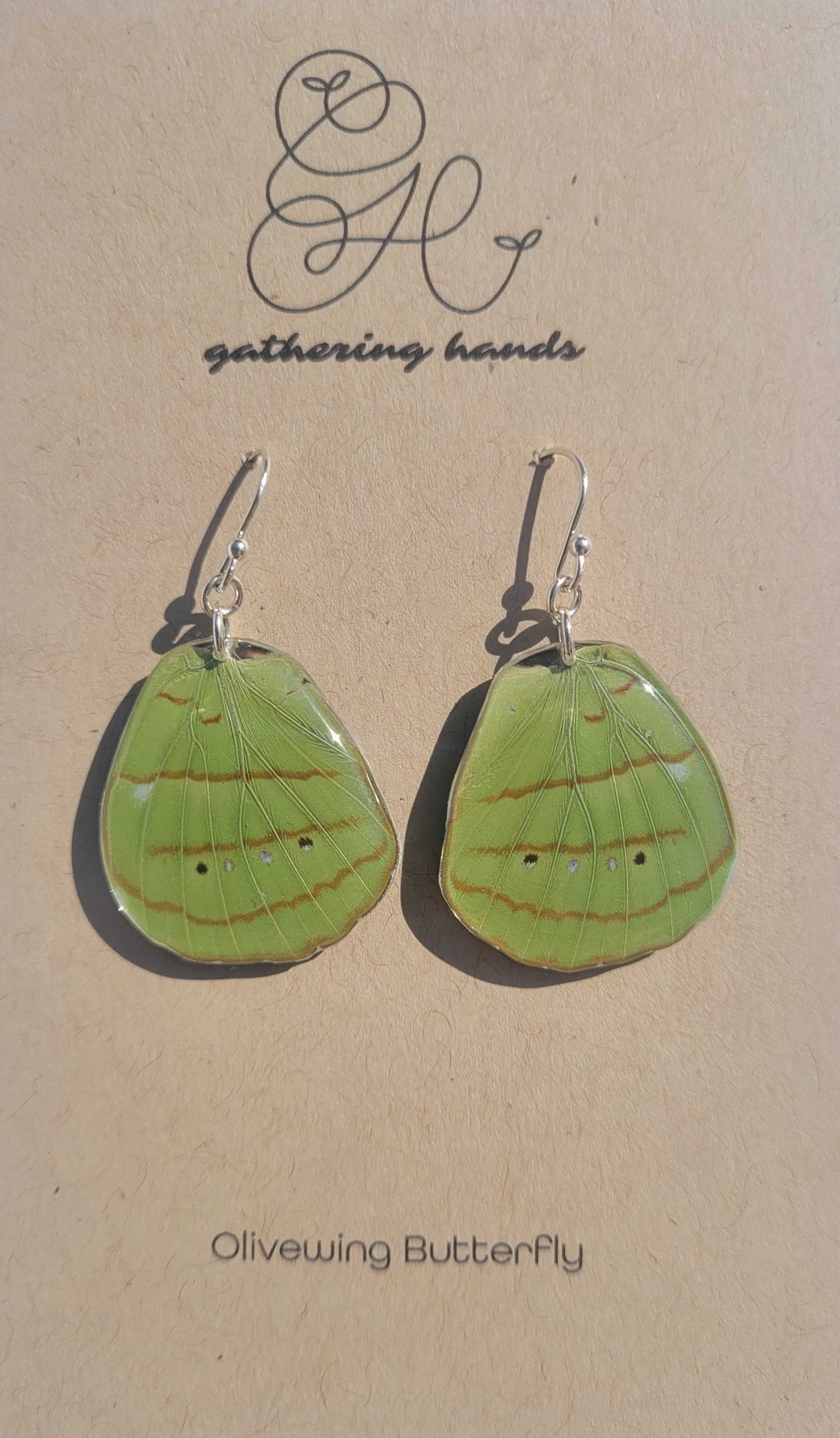 Olivewing Hindwing Earrings