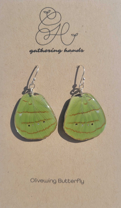 Olivewing Hindwing Earrings
