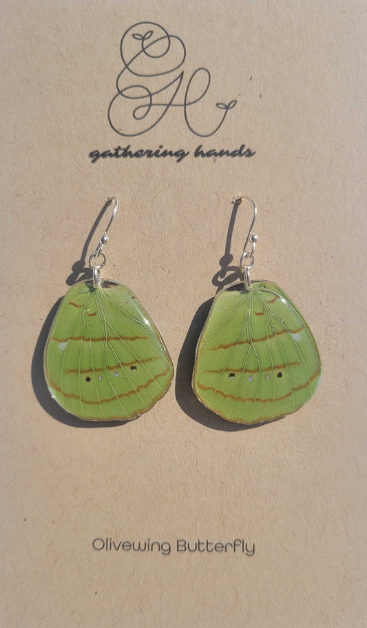 Olivewing Hindwing Earrings