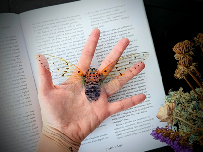 Transparent Bookmarks