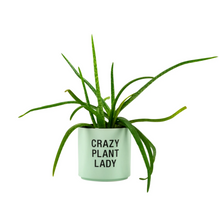 Load image into Gallery viewer, Crazy Plant Lady Planter
